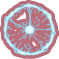 Nova.png