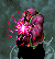 KGP-SS-slowmage.png