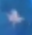 IBP-LeafItem.png
