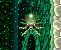 KGP-DD-octopod.png