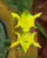 GWG - Medal3.png