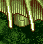 KGP-s1-bosswing.png