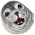 608090249603710978.png
