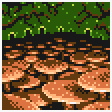 S5B - Forest of Dead.png