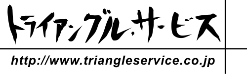 Logo TriangleService.png