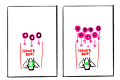 0.png