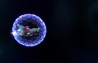 Shield1.jpg