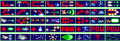 Thumbnail for version as of 21:10, 19 July 2023