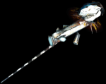 Shigi.png