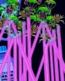 Lasers (Illvelo Swamp).jpg